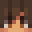 sxolarity's head