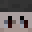 schicht's head