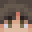 ckarckol's head