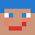 Nirucolas_YT's head