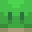 turtle_man3636's head