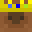 TheOnlyCapybara's head