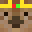 lyrebill's head