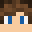 Naiprominecraft's head