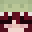 nutterbutter676's head