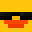 NOVA_20291's head