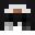 Pingwin362's head