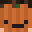 iSnowZin's head