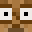 Bigpigeon6273's head