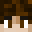 erxd's head
