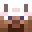 ST_omen's head