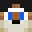 Toupic13's head