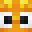 Scorai's head