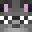 xninja1515's head