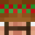 XxPEDROPLUMBERxX's head