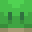 RenewedFish6984's head