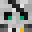 Bravecameraman's head