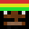 Cytr1xx's head
