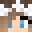 110z's head