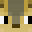 SquirrelHD's head