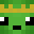 Zelvacek_2's head