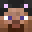 Zainto's head