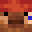 ZephyrPig's head