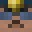 BugFixer__'s head