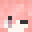 eNarwhal's head