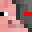 tawkid's head