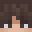 JohannXVI's head