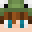 froggy123444's head