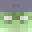 SolidAnimal357's head