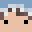 SharkPlayzYT's head
