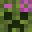 NoTchYoTacO23's head