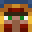 KingPVP0204's head