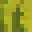 xPycus's head