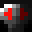 BraveDolphin781's head