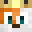 verycooltiger's head
