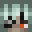 TLMV's head