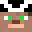 BracedTexas8970's head