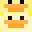 DuckedDucked's head