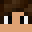 taigacraft34's head