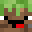 walidoooo's head
