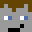 Blocki_craft_20's head