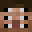 JustASteveGut's head