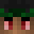 Damus's head