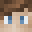 laptopfighter's head