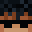 aswired's head