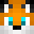 SlummyDog's head